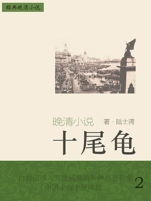cover image of 十尾龟（2）